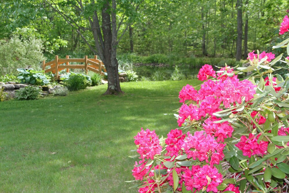 Ocean Woods Resort - photo 64