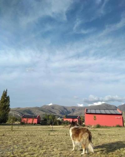 La Rueca in Tornquist, Argentina