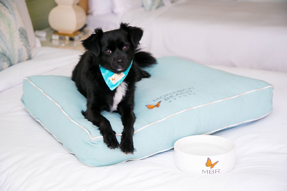 Waldorf Astoria Monarch Beach Resort & Club - photo 114