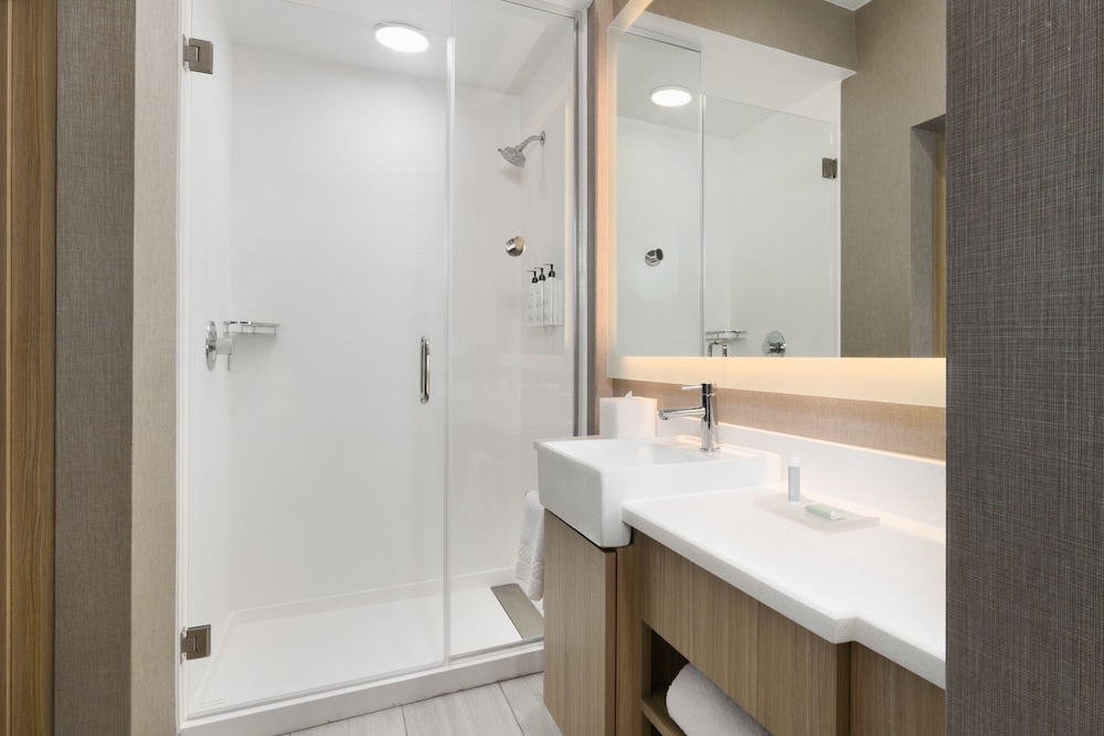 SpringHill Suites by Marriott Dothan - photo 12