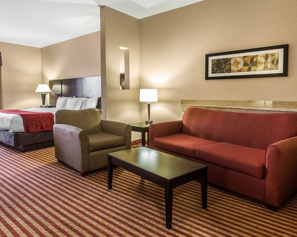 Comfort Suites Waycross - photo 8
