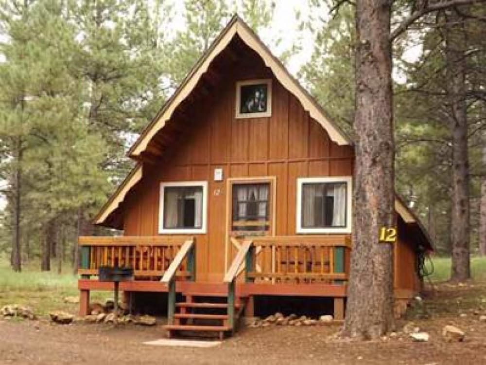 Arizona Mountain Inn and Cabins - photo 178