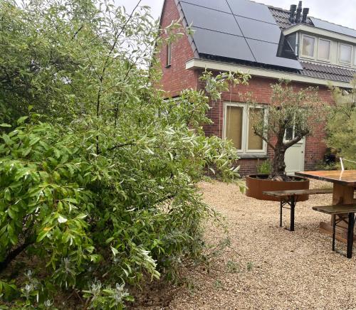 Aventure beach 500m free parking in Noordwijk-Binnen, Netherlands