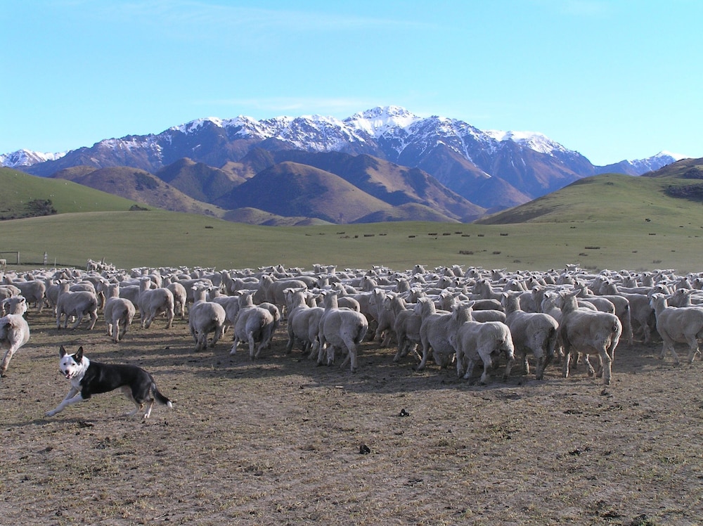 Pahau Downs in Christchurch, New Zealand