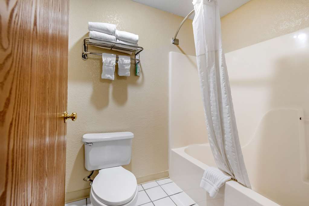 Comfort Inn Denver Southeast Area - photo 17