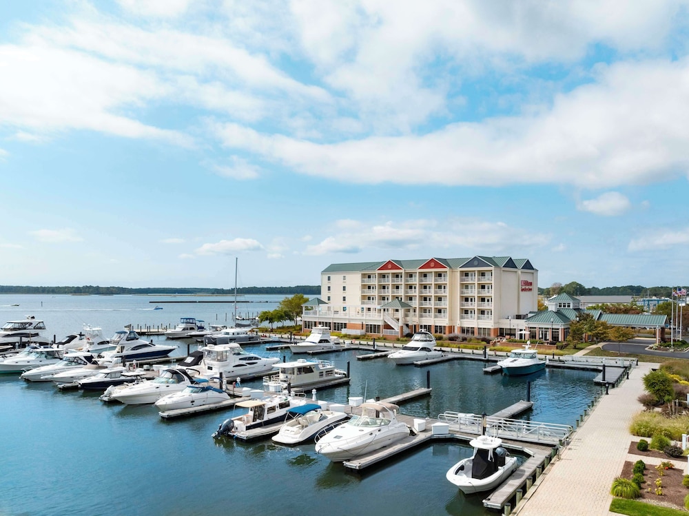 Hilton Garden Inn Kent Island Marina - photo 39
