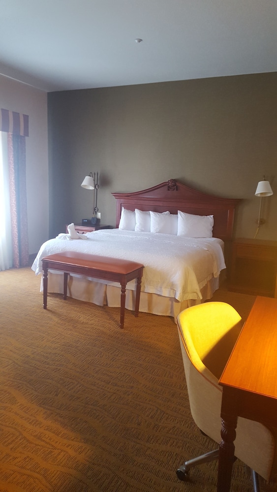 Hampton Inn & Suites Albuquerque Coors Road - photo 13