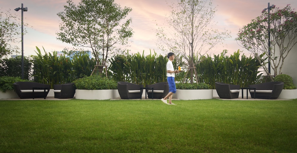 שטחי חוץ / גן