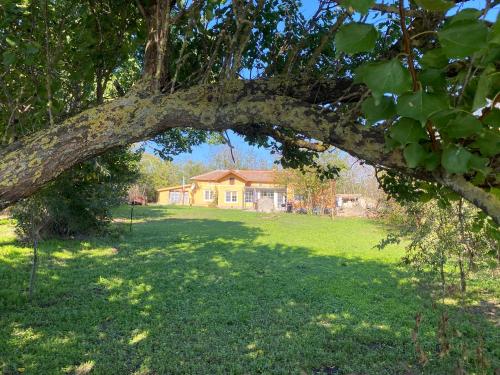Ferienhaus Primorska Sunshine in Strandnähe in Shabla, Bulgaria