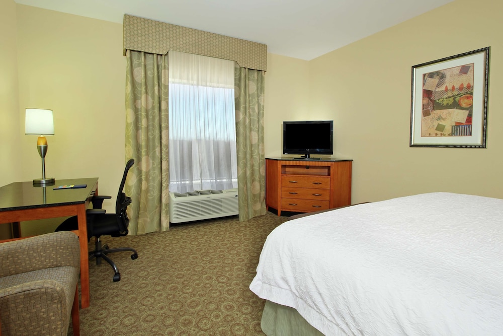 Hampton Inn & Suites Buffalo - photo 21