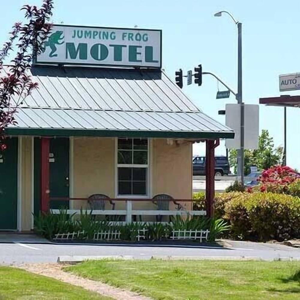 Jumping Frog Motel - photo 2