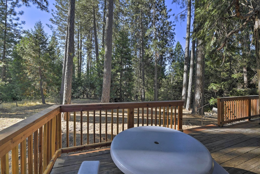 Cabin in Natl Forest 35 Min to Boreal Resort — Colfax — photo 4