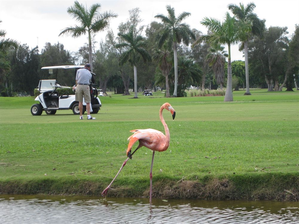 Hollywood Beach Golf Resort - photo 9