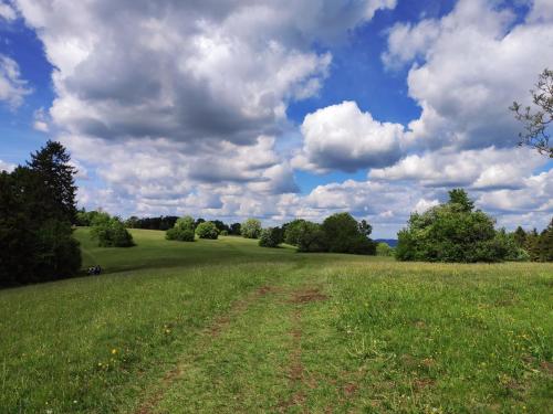 Apfelkiste — Messstetten — photo 4