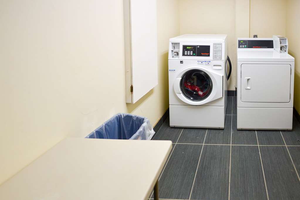 Comfort Suites Inn at Ridgewood Farm - photo 33