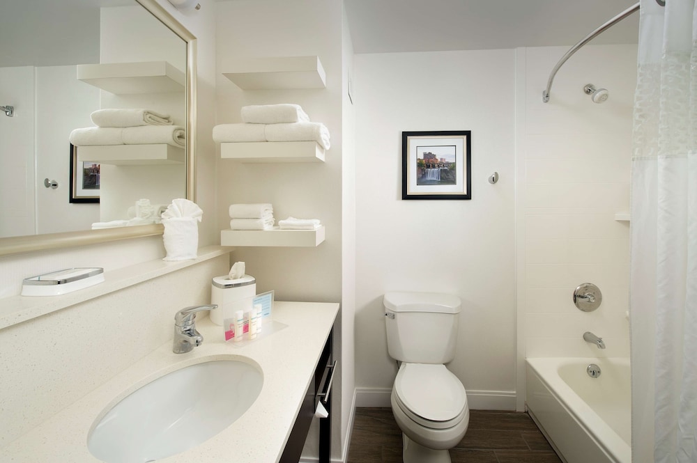 Hampton Inn Rochester Greece - photo 12