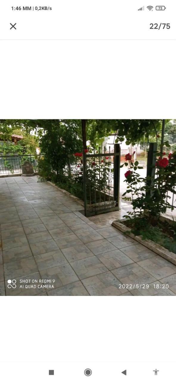 Kolhida Home — Kilkis — photo 2