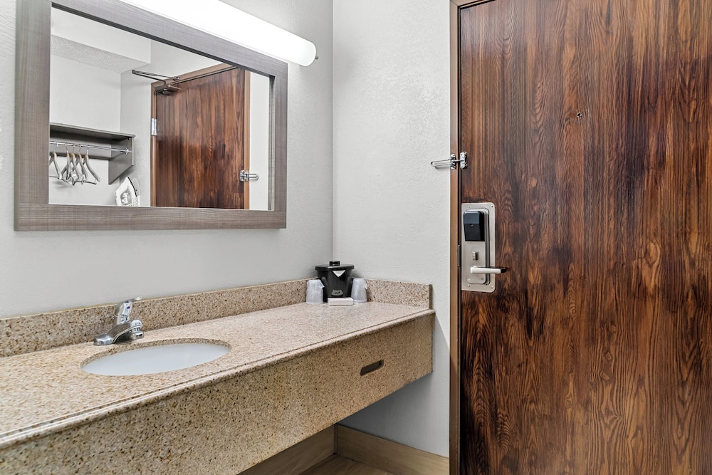 Red Roof Inn Flint - photo 24