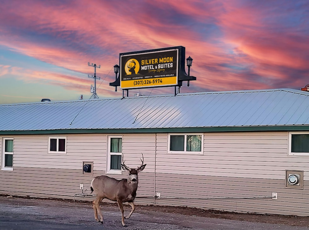 Silver Moon Motel & Suites - photo 34