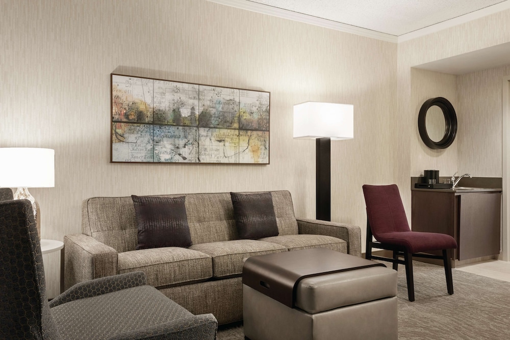 Embassy Suites by Hilton Chicago North Shore Deerfield - photo 29