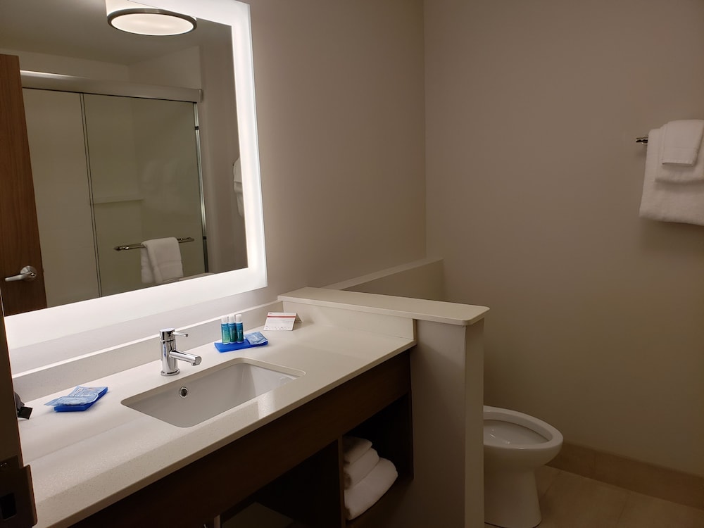 Holiday Inn Express and Suites Macon North - photo 16