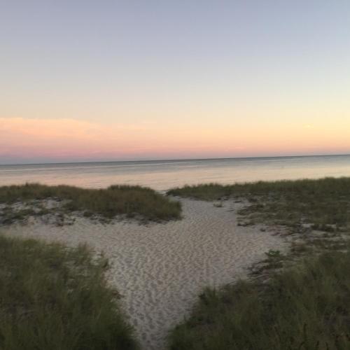 Surf & Sand Beach Motel - photo 26