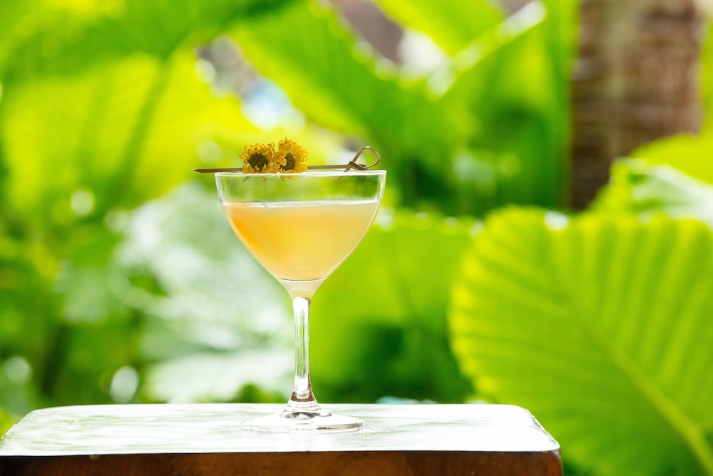 Kimpton Vero Beach Hotel & Spa by IHG - photo 62