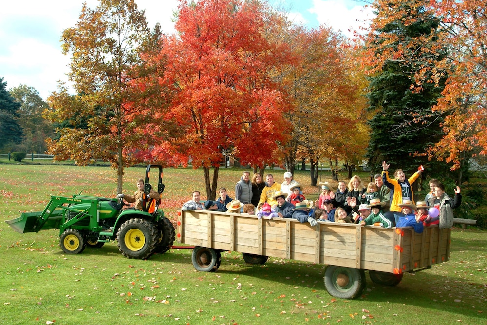 Chestnut Grove Resort - photo 90