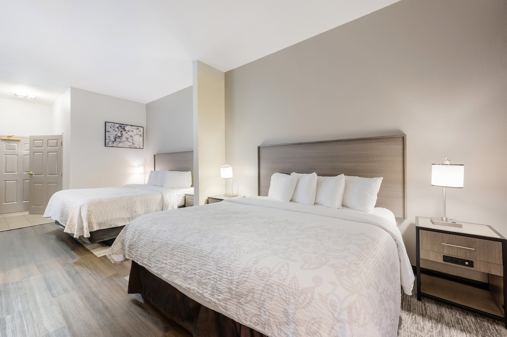 Red Roof Inn PLUS & Suites Birmingham Bessemer - photo 9