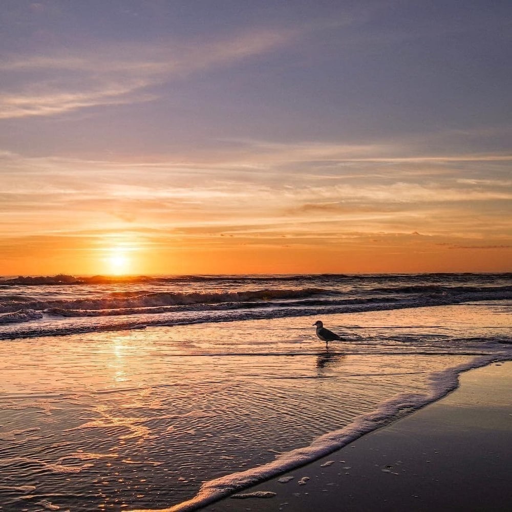 Holiday Inn Resort South Padre Island Beach Front by IHG - photo 134