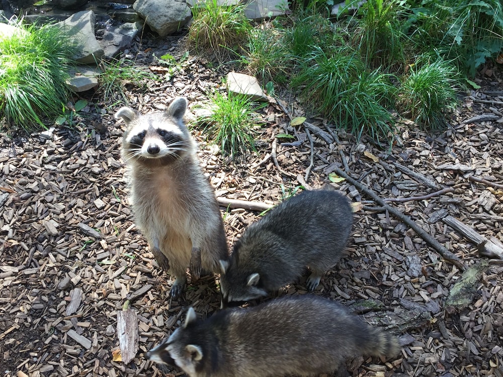 Children's activities