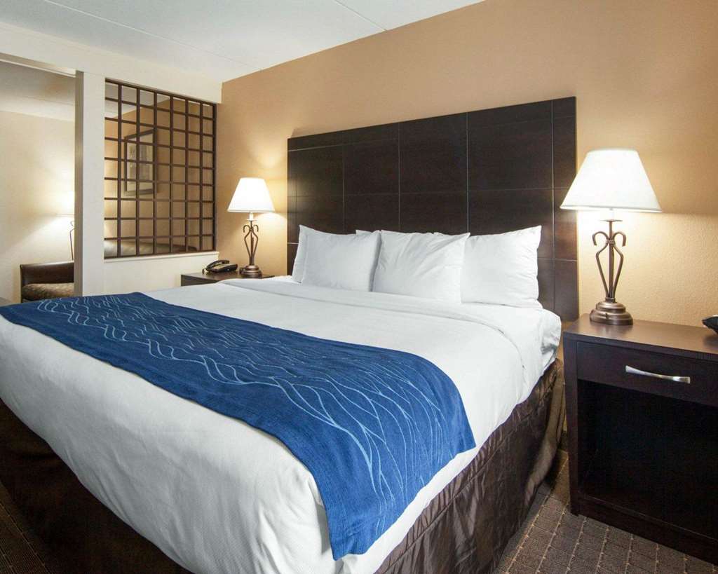 Comfort Inn Oak Ridge Knoxville - photo 40