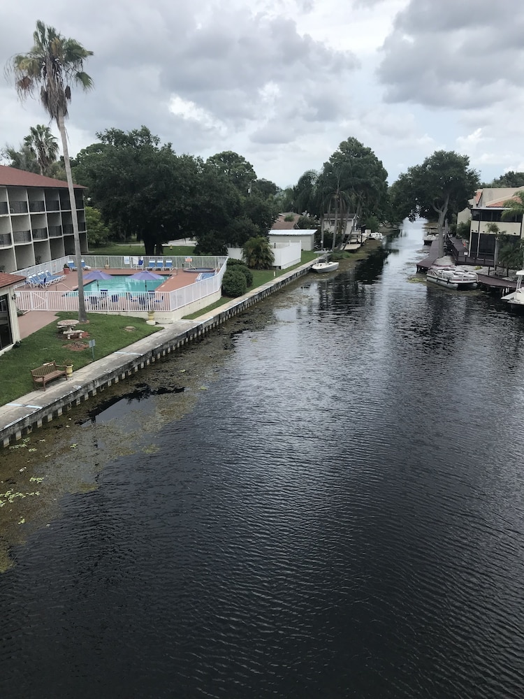 Vista Inn Lake Tarpon - photo 56