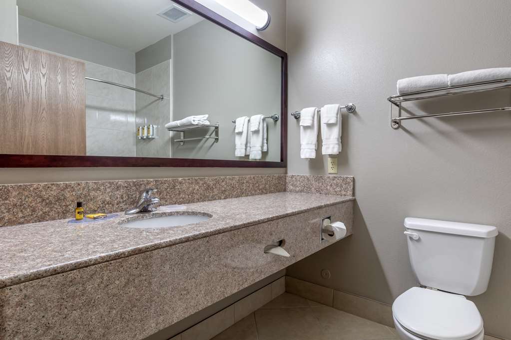 Best Western Plus Mansfield Inn & Suites - photo 16