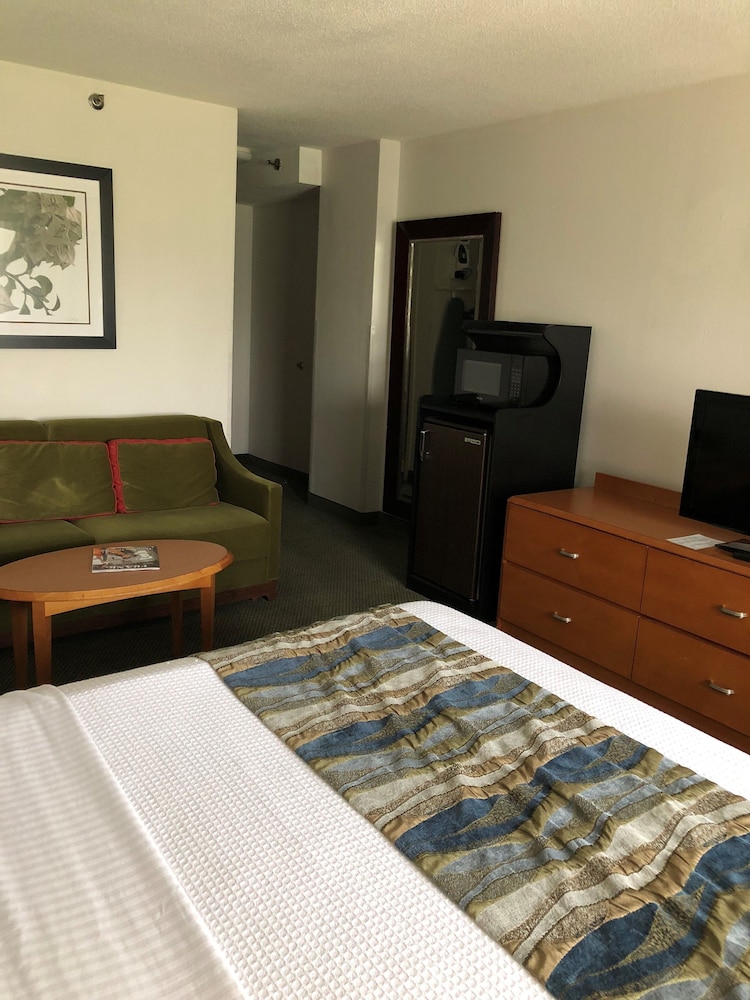 Capital Plaza Hotel - photo 14
