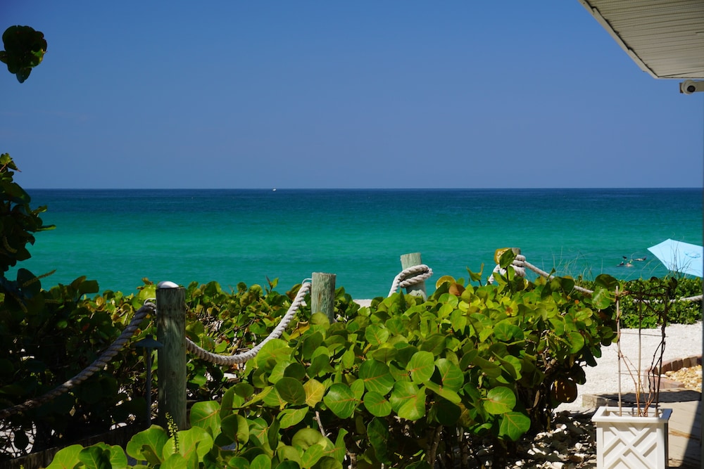 Pearl Beach Inn - photo 57