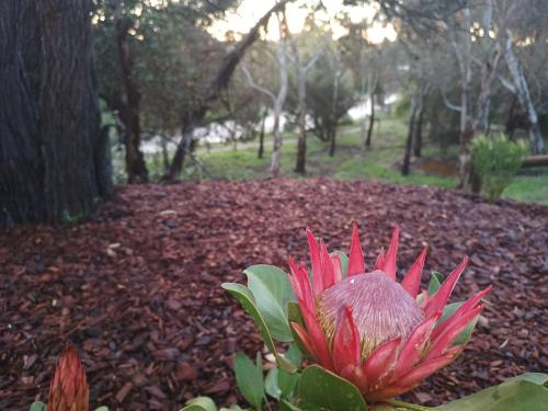 Strathalbyn Cottages — Strathalbyn — photo 2