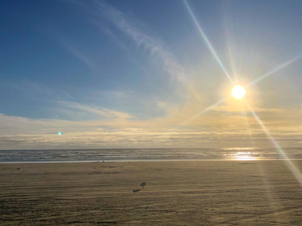Pacific Dunes Resort - photo 69