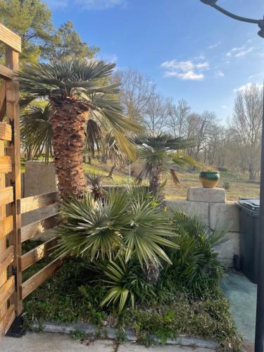 Logis Domaine Spa piscine sauna — hotel in Mazamet