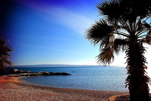 Luxury Seaside Apartment — 4-Star Luxury Hotel in Split, Croatia