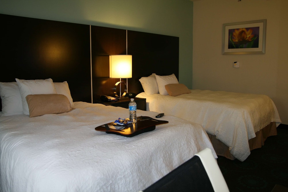 Hampton Inn Shreveport Airport - photo 23