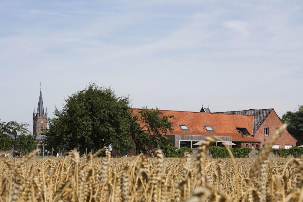 B&B Buytenshuys — Hooglede — photo 5