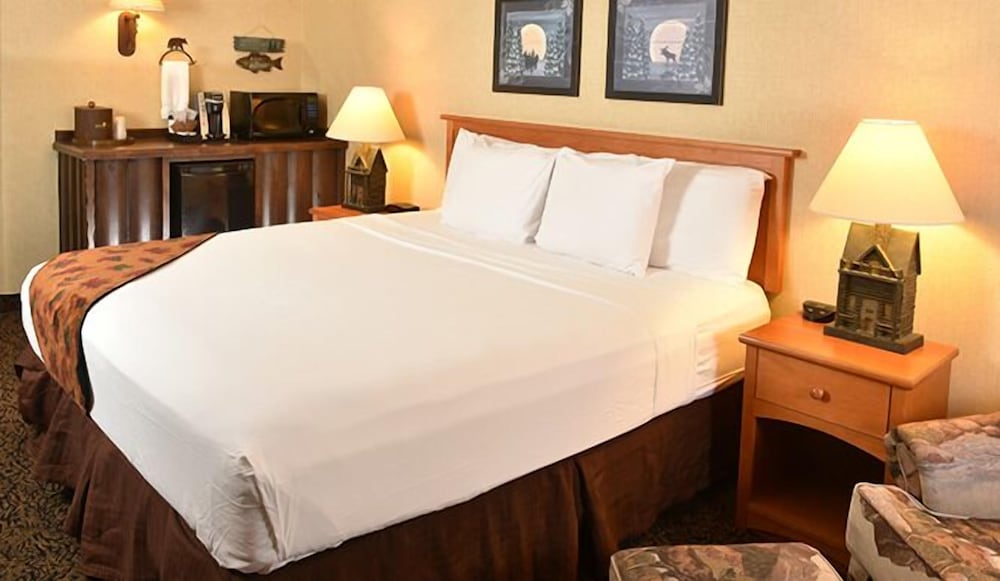 Boarders Inn & Suites by Cobblestone Hotels Waukon - photo 14
