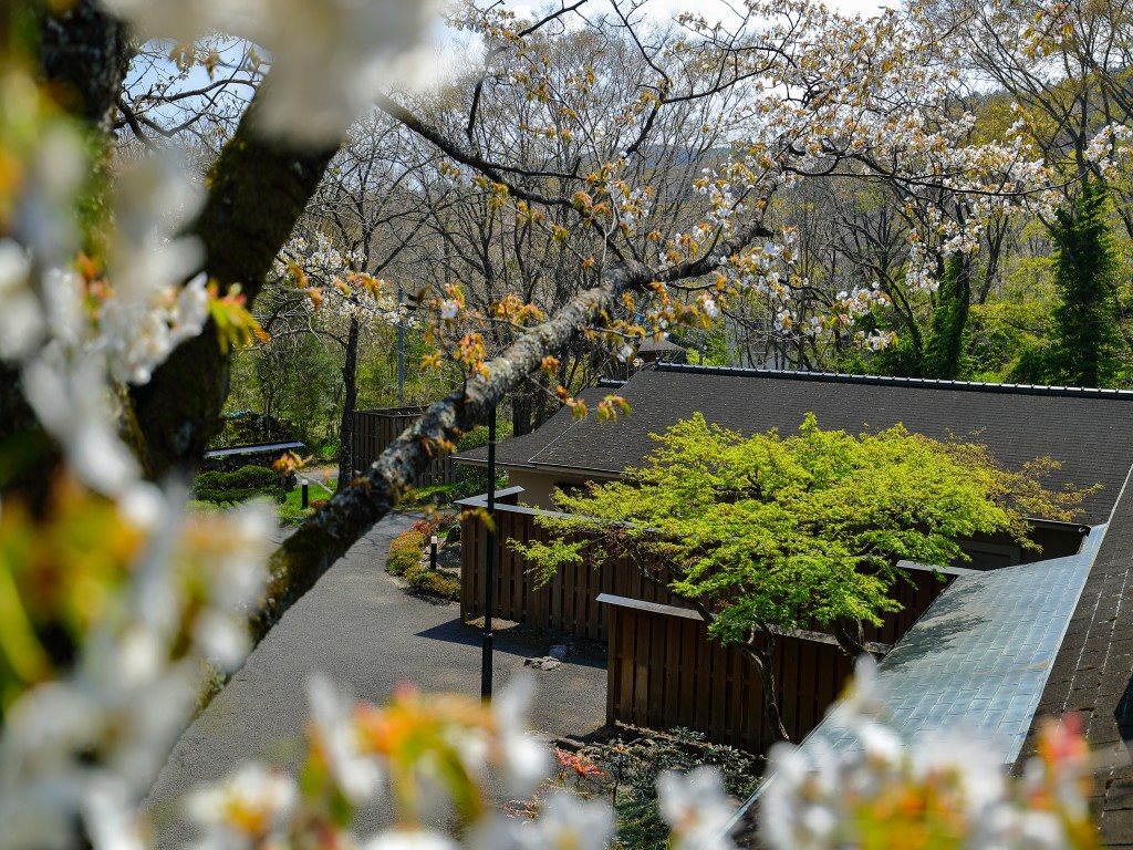 Togattaonsen Bettei Yamabuki — hotel in Shiroishi