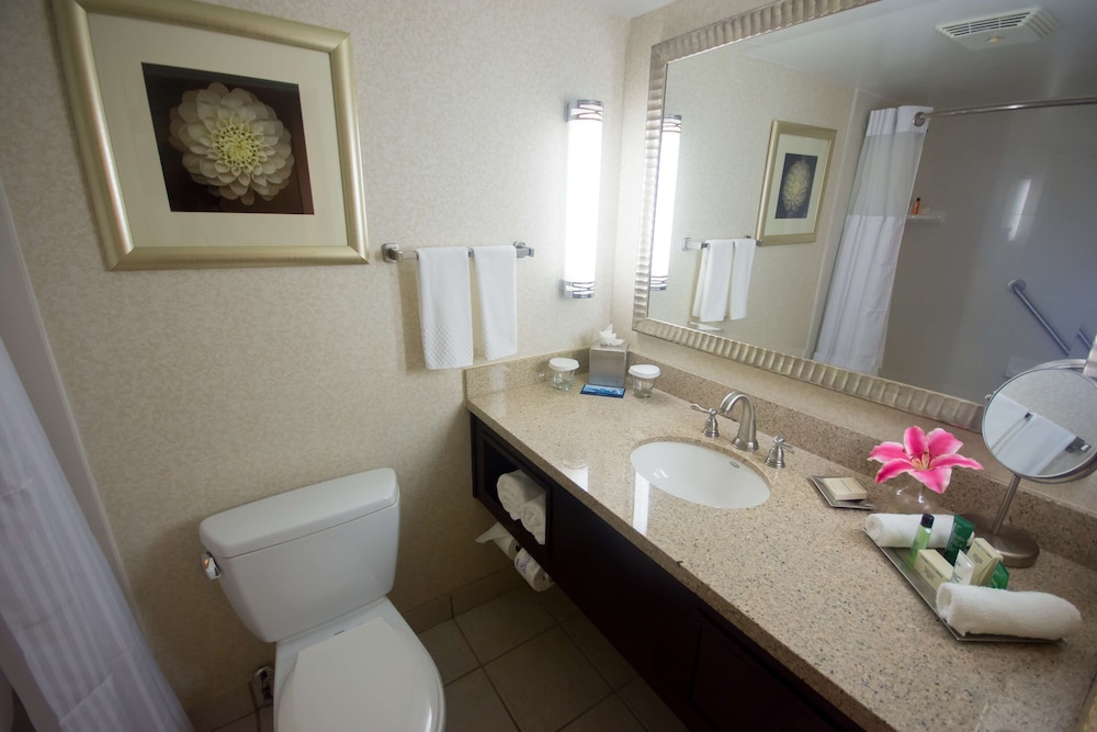 Hilton Palm Beach PBI - photo 66