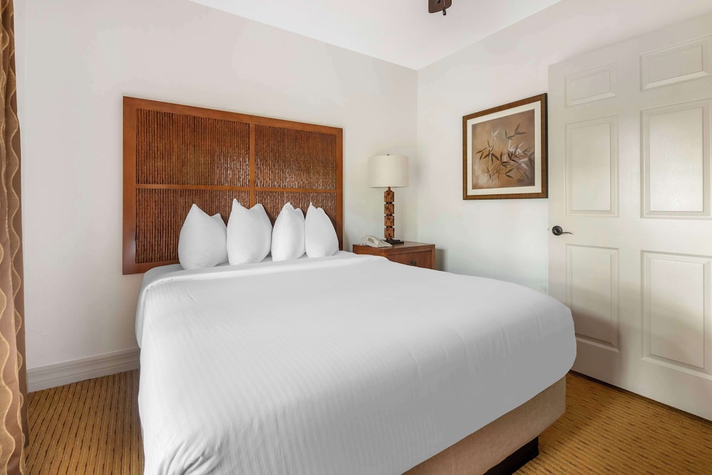 Hilton Vacation Club Aqua Sol Orlando West - photo 18