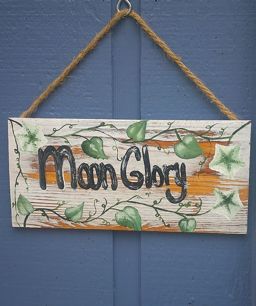 Lil Black Bear Inn - photo 37