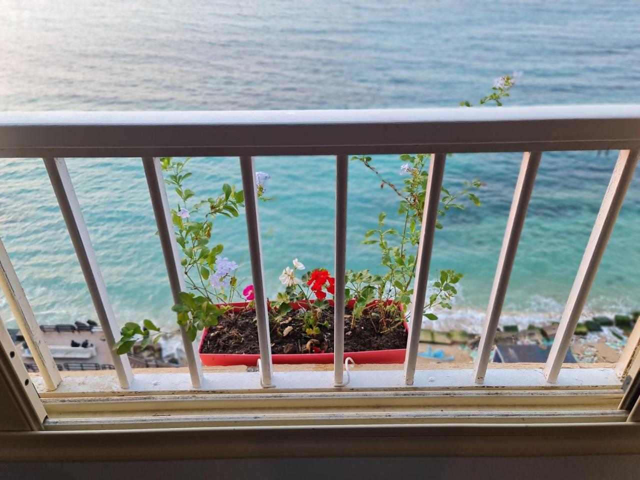 Nour 1 — 4-Star Luxury Hotel in Alexandria, Egypt