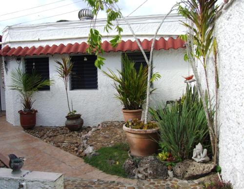 Belmopan Bed And Breakfast — Belmopan — photo 3