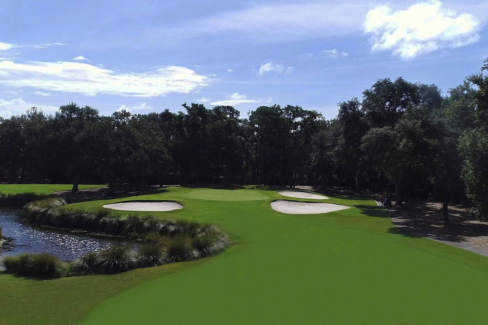 The Westin Hilton Head Island Resort & Spa - photo 73